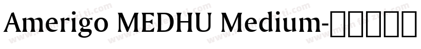 Amerigo MEDHU Medium字体转换